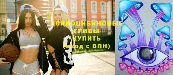 прущая мука Аркадак