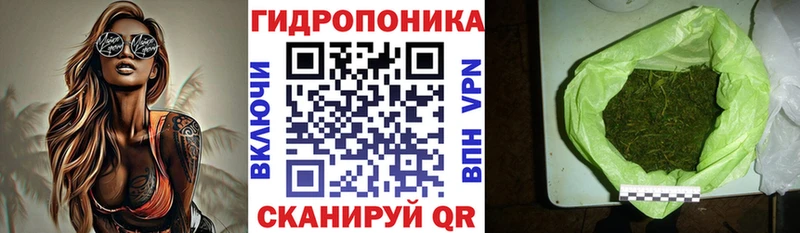 Купить где  Озёрск  Конопля Amnesia 